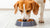 How to Train My Dog to Eat His Food: Tips for Picky Eaters