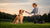How to Train Your Dog to Shake: A Comprehensive Guide for Pet Owners
