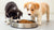 How to Train Your Puppy to Not Eat Other Dogs' Food: A Comprehensive Guide