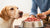 How to Transition a Dog to Raw Food: The Ultimate Guide for Pet Owners