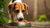 How to Transition Your Dog to Raw Food: A Comprehensive Guide