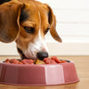 How to Transition Your Dog to Raw Food: A Comprehensive Guide for Pet Owners