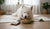 How to Treat Food Allergies in Dogs: A Comprehensive Guide for Pet Owners-141235519727