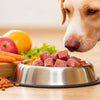 How to Wean Your Dog Onto Raw Food: A Comprehensive Guide