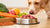 How to Wean Your Dog Onto Raw Food: A Comprehensive Guide