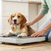 How to Weigh Your Dog at Home: A Comprehensive Guide for Pet Owners