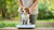 How to Weight Your Dog: A Comprehensive Guide for Pet Parents