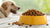 Is Air-Dried Dog Food Good? A Comprehensive Guide to Pet Nutrition