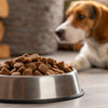 Is Air Dried Dog Food Healthy? Understanding the Benefits for Your Furry Friend