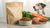 Is All Freeze-Dried Dog Food Raw? Exploring the Truth Behind Freeze-Dried Diets