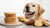 Is Butter Cookies Good for Dogs? Navigating Treat Options for Your Furry Friend-141103857903