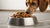 Is Canned Dog Food Bad? Understanding the Pros and Cons for Your Canine Companion-141221658863