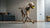 Is Canned Dog Food Good for Dogs? Understanding the Pros, Cons, and What Works Best for Your Furry Friend