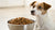 Is Cat Dry Food Bad for Dogs? Understanding the Risks and Nutritional Differences