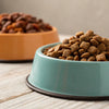 Is Cat Food OK for Dogs to Eat? A Comprehensive Guide