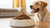 Is Dehydrated Dog Food Raw? Exploring the Best Option for Your Canine Companion