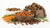 Is Dehydrated or Freeze-Dried Dog Food Better? A Comprehensive Guide for Pet Owners