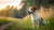Is Dog Aggression a Learned Behavior? Understanding the Roots of Canine Aggression