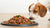 Is Dog Food With Grain Bad? A Comprehensive Guide for Pet Owners