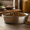 Is Dog Food with Grain Good for Dogs? A Comprehensive Guide