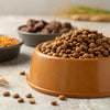 Is Dog Food with Grain Good? Understanding the Nutritional Debate