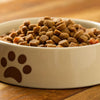 Is Dog Food Without Grain Better? A Comprehensive Look at Grain-Free Diets