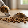 Is Dog Kibble Good for Dogs? Exploring the Benefits and Drawbacks of Kibble for Your Canine Companion