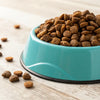 Is Dog Kibble Healthy? Exploring the Nutritional Landscape of Canine Diets