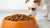 Is Dry Cat Food Bad for Dogs? Understanding the Risks and Nutritional Needs
