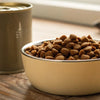 Is Dry Dog Food Better Than Wet Dog Food? A Comprehensive Guide for Pet Parents
