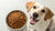 Is Dry Dog Food Good for Your Dog? An In-Depth Exploration