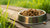 Is Dry Dog Food Supposed to Be Mixed with Water? Exploring the Benefits and Drawbacks