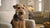Is Dry Food Better for Dogs' Teeth? Understanding the Impact of Diet on Dental Health