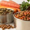 Is Dry Food Better Than Wet Food for Dogs? A Comprehensive Guide