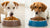 Is Dry Food Better Than Wet for Dogs? Unpacking the Benefits and Drawbacks