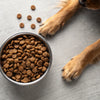 Is Dry Food Enough for Dogs? Exploring the Nutritional Landscape