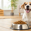 Is Dry Food Good for Dogs? Exploring the Benefits and Considerations