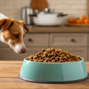 Is Dry Food Healthy for Dogs? An In-Depth Exploration