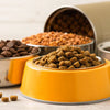 Is Dry Food or Wet Better for Dogs? A Comprehensive Guide
