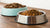 Is Dry or Wet Dog Food Better for Dogs? A Comprehensive Guide for Pet Owners