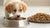 Is Dry or Wet Dog Food Better for Puppies? A Comprehensive Guide for New Pet Owners