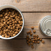 Is Dry or Wet Food Better for Dogs with Diarrhea?