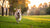 Is Exercise Good for Dogs with Enlarged Heart? Understanding the Balance