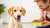 Is Feeding Your Dog Raw Food Better? A Comprehensive Guide for Pet Owners