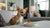 Is Flour Bad for Dogs? Understanding the Risks and Benefits