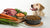 Is Freeze-Dried Dog Food Considered Raw? Understanding the Nuances of Canine Nutrition