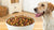 Is Freeze-Dried Dog Food Good? A Comprehensive Guide for Pet Owners