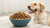 Is Freeze Dried Dog Food Good for Dogs? Exploring the Benefits and Considerations
