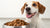 Is Freeze Dried Dog Food Good for Your Dog?