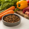 Is Freeze-Dried Dog Food Safer Than Raw? Understanding Your Pet's Nutrition